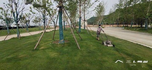 鄂州首個水上植物園即將開園，配套大橋與園林綠化工程全面提升生態景觀