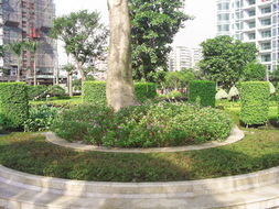 中山最便宜的剪花剪草、園林規(guī)劃設計與綠化工程施工全攻略